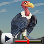 G4K Feeble Vulture Escape Game Walkthrough